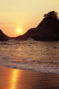 マイクロマネージメント