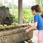 ミラーレス機オリンパスPen-Fを2ヶ月使って分かった短所を7つほどご紹介