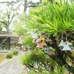 久々の日本一時帰国で友達に久々に会って起こること7選