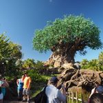 WDW旅行記 – アニマルキングダム