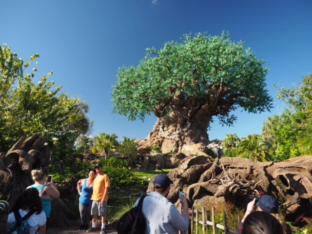 WDW　ディズニーワールド　旅行　フロリダ