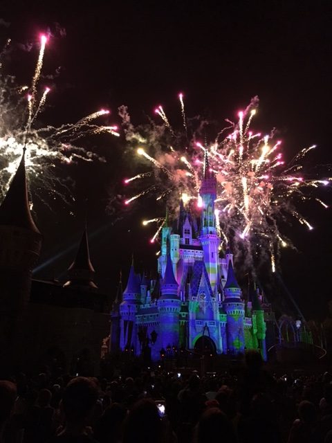 WDW　旅行　フロリダ　オーランド　ディズニーワールド　マジックキングダム