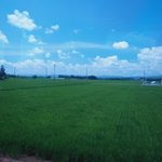 JR北海道＆東日本パスを使って、東北一周の旅 – 山形県村山市（6日目）