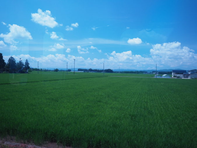 山形　村山市　観光