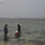 石垣島・沖縄旅行記5日目 – 竹富島で一泊！