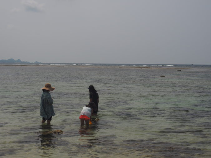 石垣　竹富　ブログ