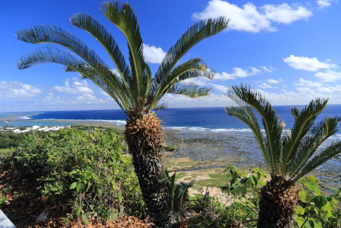 石垣島　旅行　ブログ